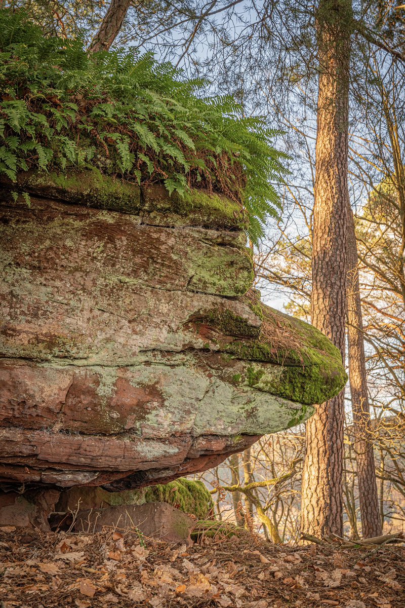 Cédrιc tweet media