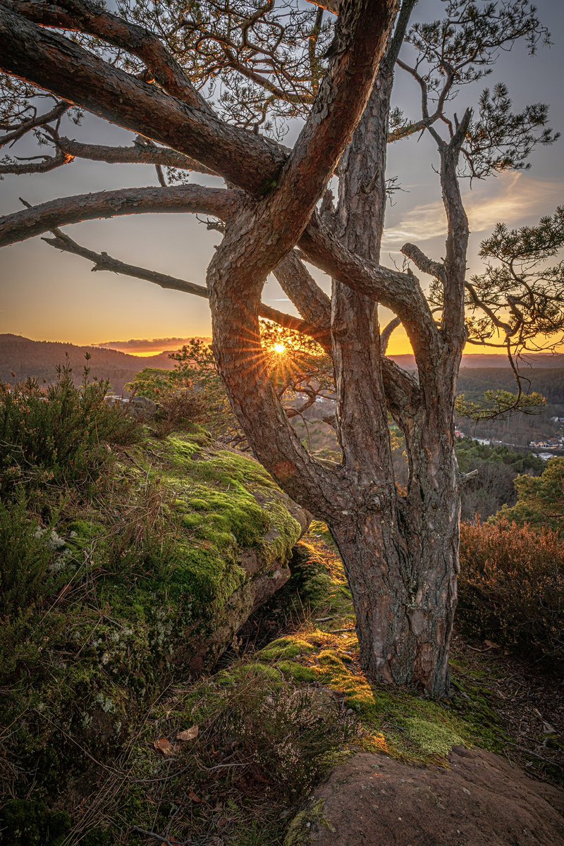 Cédrιc tweet media