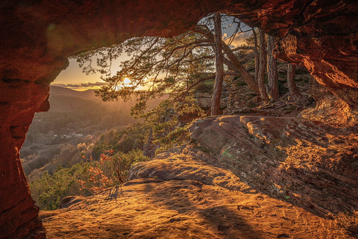 Cédrιc tweet media