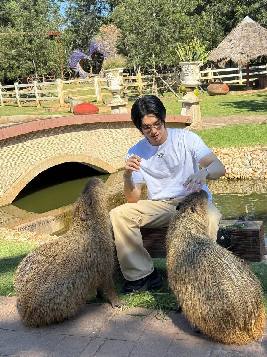 ️️ ️️ tweet media