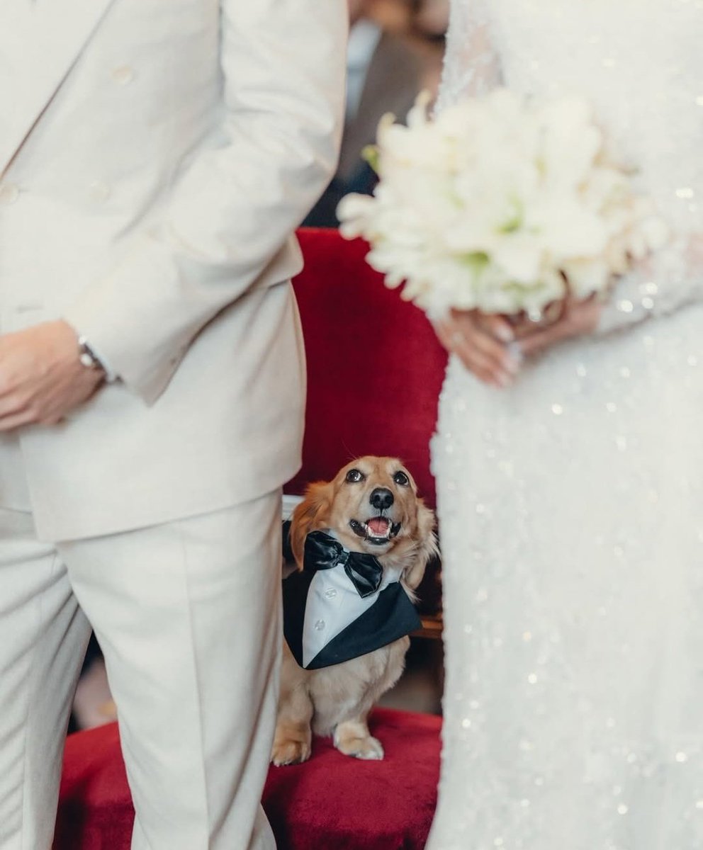 wdclebbl's tweet photo. not leo napping while his parents get married boy get your head in the game ‼️‼️‼️ https://t.co/6YzuUK0ZSP