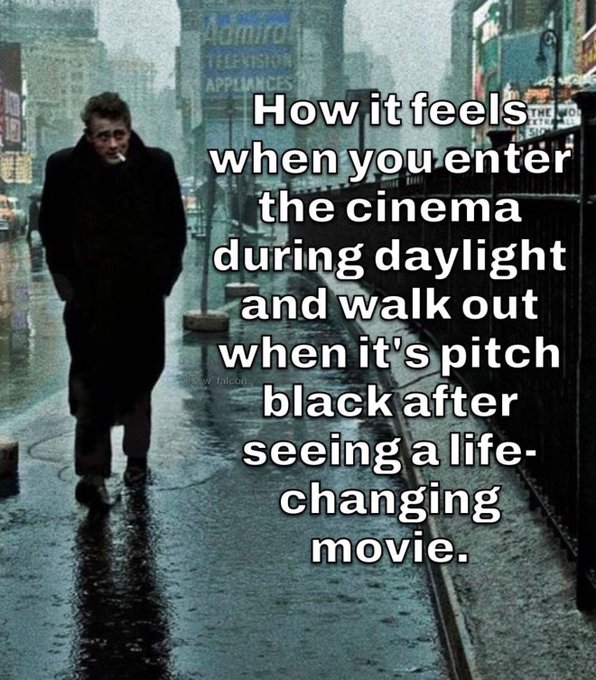 Shitpost 2048 (@shitpost_2048) on Twitter photo 