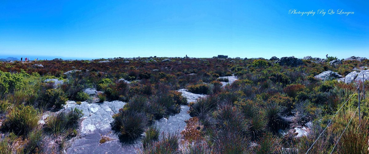 Boddy PIawuiek tweet media