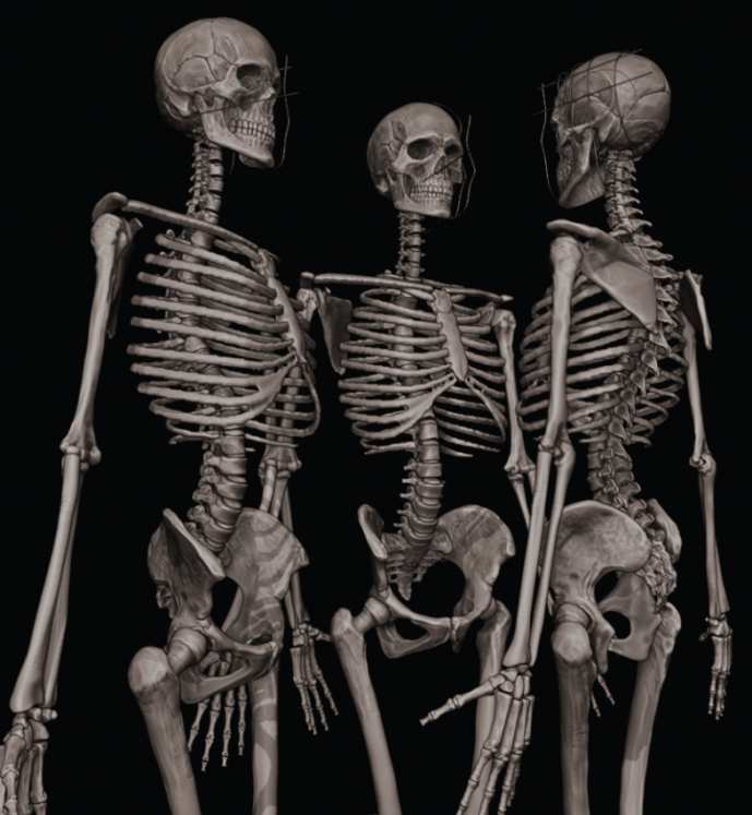 Sentinel tweet media