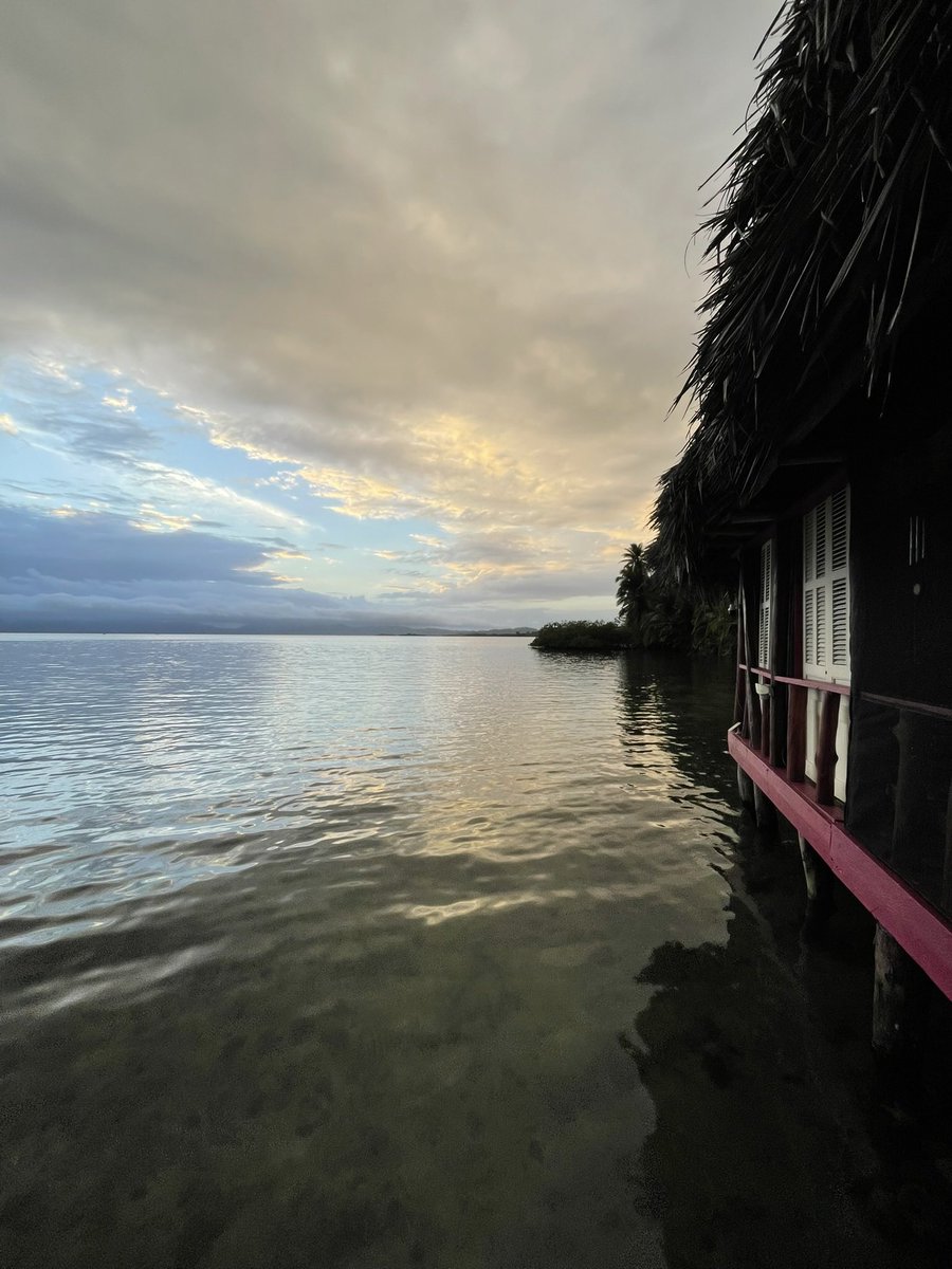 smokingfrog tweet media