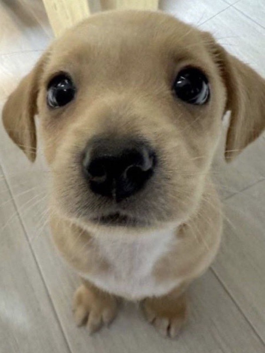 Dragon Fruit likes dudes🔞 tweet media