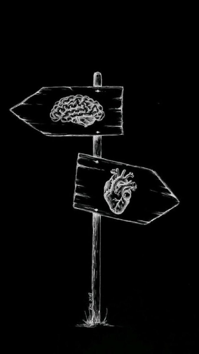 Hangi tarafı tercih edersin?