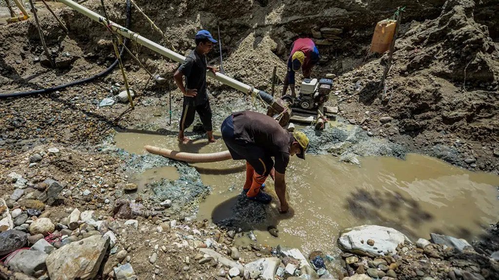 La minería ilegal se ha expandido más allá del Arco Minero, impactando áreas protegidas como el parque nacional Canaima, la Reserva Forestal La Paragua y todo el estado Amazonas...

Generando graves daños ambientales como deforestación, contaminación mercurial de suelos, agua y