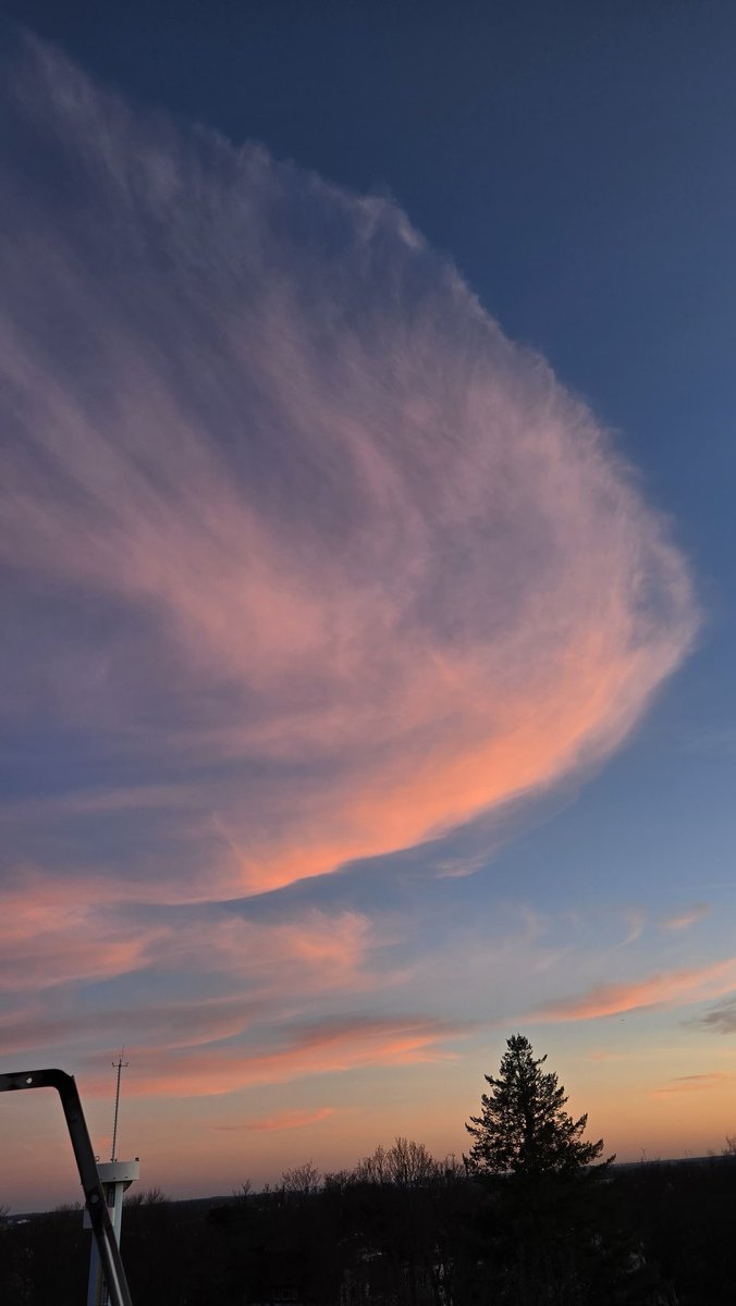 Wetter Berlin Dahlem tweet media