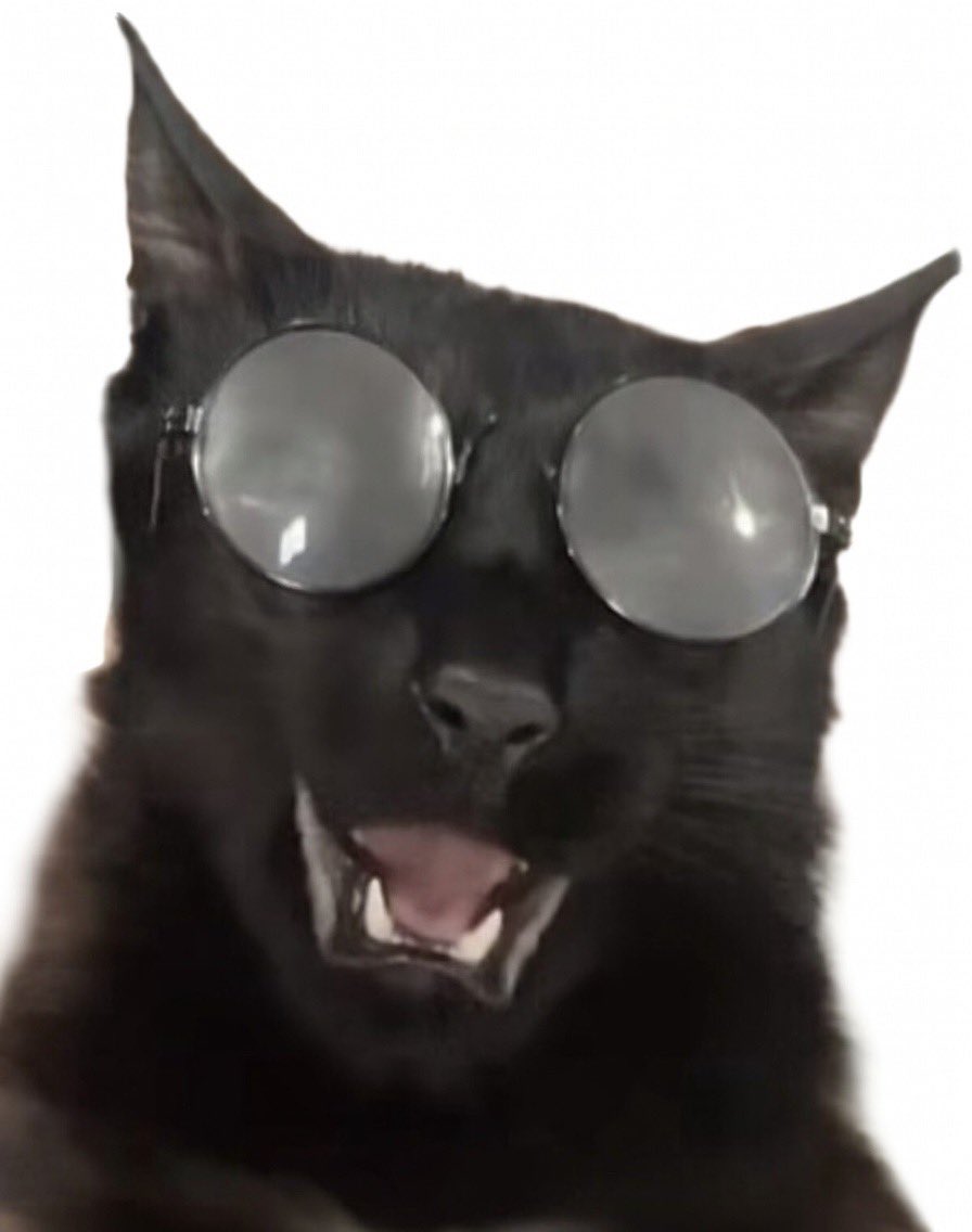 · ᴀᴅᴀᴍ ʟᴀɴɢᴇ · tweet media