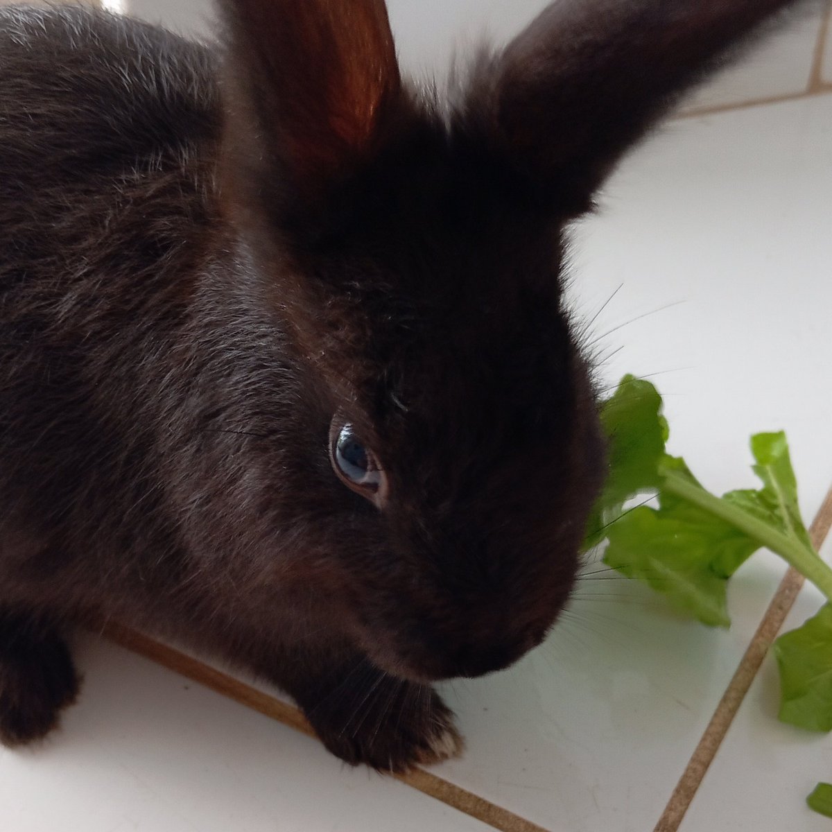 ᅠd𖹭u⵿cᧉ bᧉnᅠ𑛁𐑼 tweet media