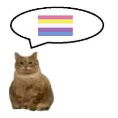 𖤓⭑CARA⭑𖤓 tweet media