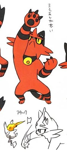 Dei0710's tweet photo. The front paws becoming bigger, most of the visual weight being held on the torso, Torracat having animations that allude to it trying to stand, the fire bell that will become the belt... There is a strong visual progression that is followed, idk https://t.co/7liZJQyWiV