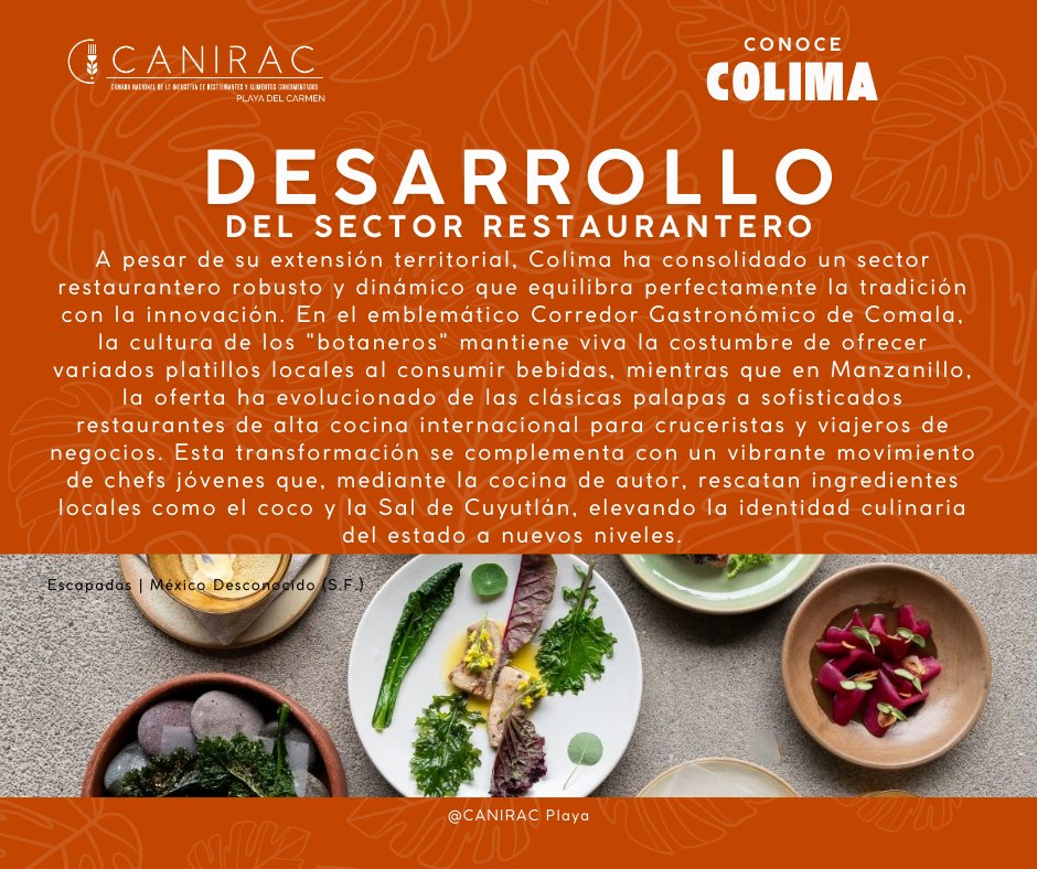 ¡El sector restaurantero de Colima está creciendo con todo! 📈

#Colima #Comala #Manzanillo #GastronomíaMexicana #ChefLife #Cuyutlán #FoodieMéxico #TurismoGastronómico #SaborColima