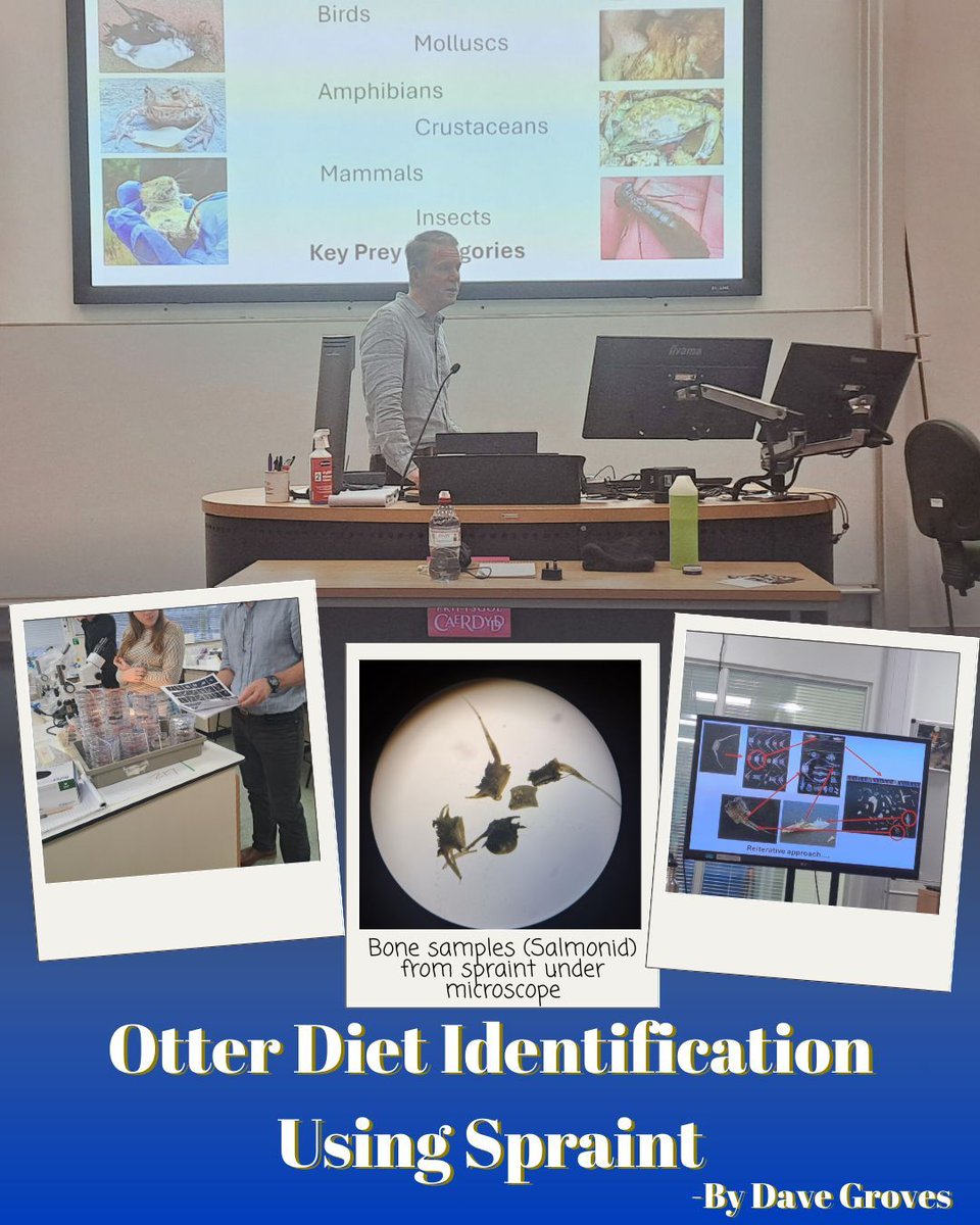 Otter Project tweet media