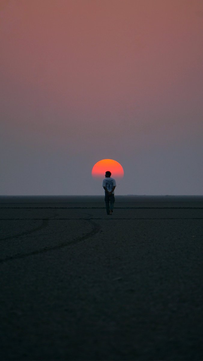 direwolf tweet media