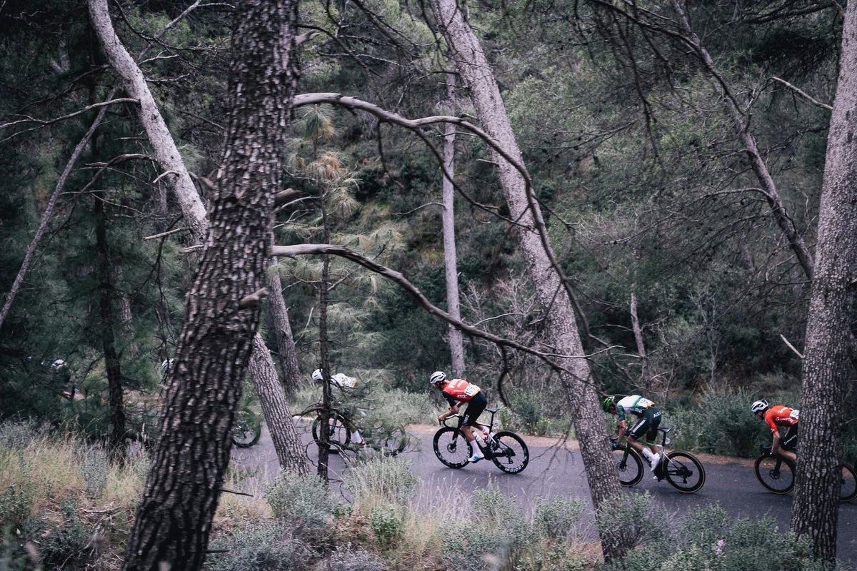 Trofeo Guerrita tweet media