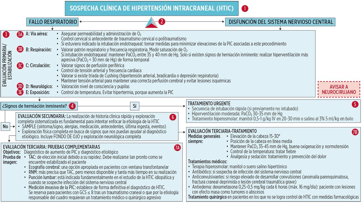 MarlonVFZR's tweet photo. 🧠𝗛𝗧𝗜𝗖‼️
⬇️⬇️⬇️⬇️ 

🚨 𝙎𝙤𝙨𝙥𝙚𝙘𝙝𝙖 𝙘𝙡𝙞́𝙣𝙞𝙘𝙖
😵 ↓ conciencia
👁️ Alteraciones pupilares
❤️ Triada de Cushing
🫁 Deterioro respiratorio

⚡ 𝙈𝙖𝙣𝙚𝙟𝙤 𝙞𝙣𝙢𝙚𝙙𝙞𝙖𝙩𝙤 (𝘼𝘽𝘾𝘿𝙀)
🫁 Oxigenar + vía aérea segura
🎯 PaCO₂ 35–40 mmHg
💉 Mantener perfusión cerebral
🌡️ Evitar fiebre

🆘 𝙎𝙞 𝙝𝙚𝙧𝙣𝙞𝙖𝙘𝙞𝙤́𝙣 𝙞𝙣𝙢𝙞𝙣𝙚𝙣𝙩𝙚
🧂 Manitol o SS hipertónica
📞 Neurocirugía urgente

🛏️ 𝙈𝙚𝙙𝙞𝙙𝙖𝙨 𝙜𝙚𝙣𝙚𝙧𝙖𝙡𝙚𝙨
⬆️ Cabecera 15–30°
📏 Cabeza en línea media
😌 Analgesia + sedación

‼️Si te sirve: ❤️ Me gusta | 🔁 Repost | ➕ Follow para más #MedED en #ClubCrit 😄🧠🫶

👇🏼👇🏼👇🏼👇🏼
📚📖#ClubCrit

#HTIC #CritCare #UCI #ICU #CriticalCare #Diagnóstico #icu #intensivecare #diagnosis #management #POCUS  #MedicinaBasadaEnEvidencia #Terapia #MedEd #Medicina #FOAMed #FOAMcc #CuidadoCrítico #MedX #EducaciónMédica #MedIntensiva #MedXCommunity #MedicinaCrítica #MedED #CritCare #ICUManagement #MustRead #LecturaRecomendada