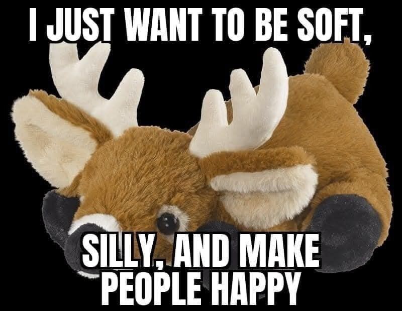 Deer in Places they Shouldn't Be tweet media