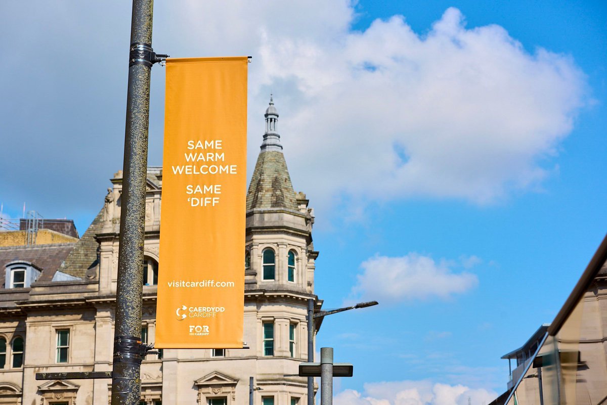 Bay Media tweet media