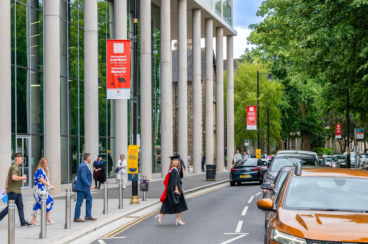 Bay Media tweet media