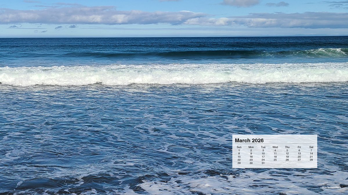 Dicks & Company Basics tweet media