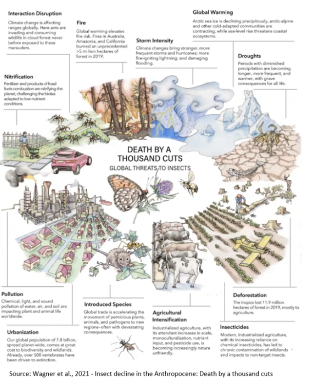 Humanity's current path isn't sustainable because it's killing nature with "business as usual" economic growth. Who will lead us to an ecological civilization and U-turn away from societal collapse based on consumption of fossil fuels and plastics?