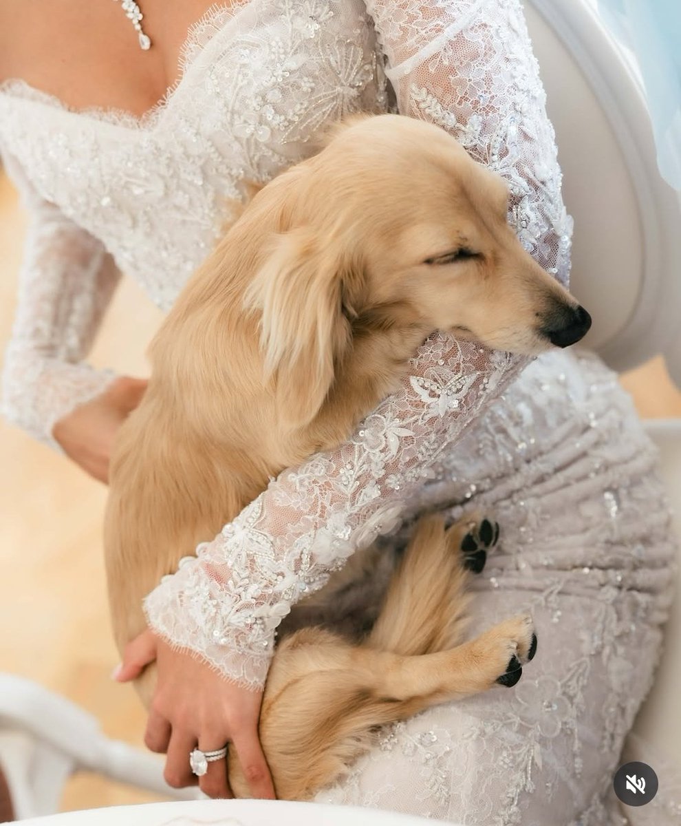 olivia 🐥 tweet media