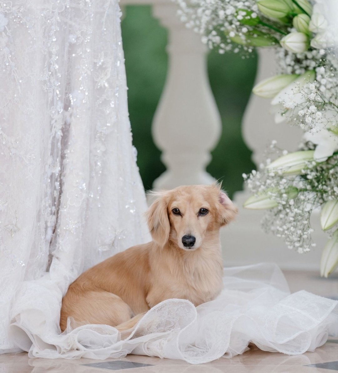 olivia 🐥 tweet media