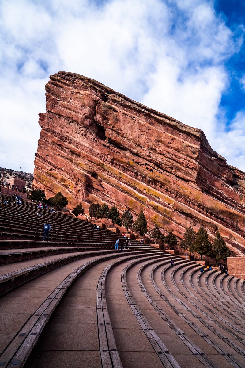 Brandon Genson tweet media