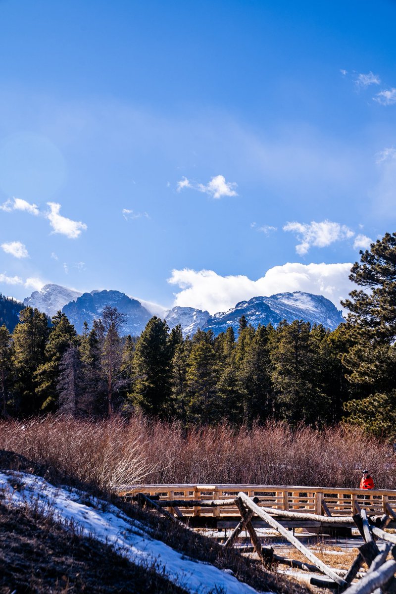 Brandon Genson tweet media