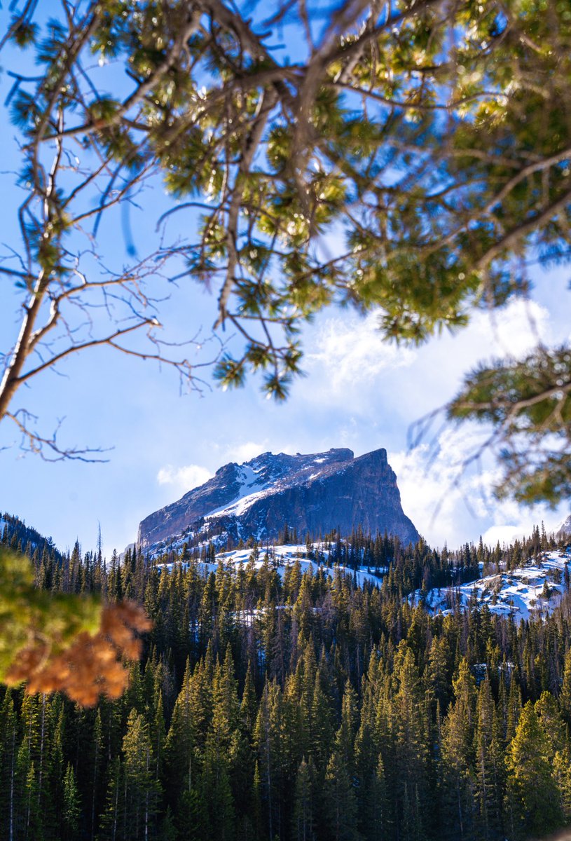 Brandon Genson tweet media