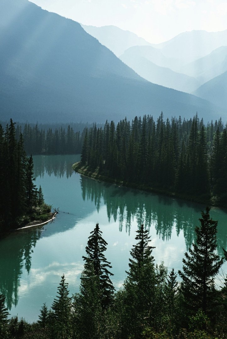 Axis Insurance tweet media