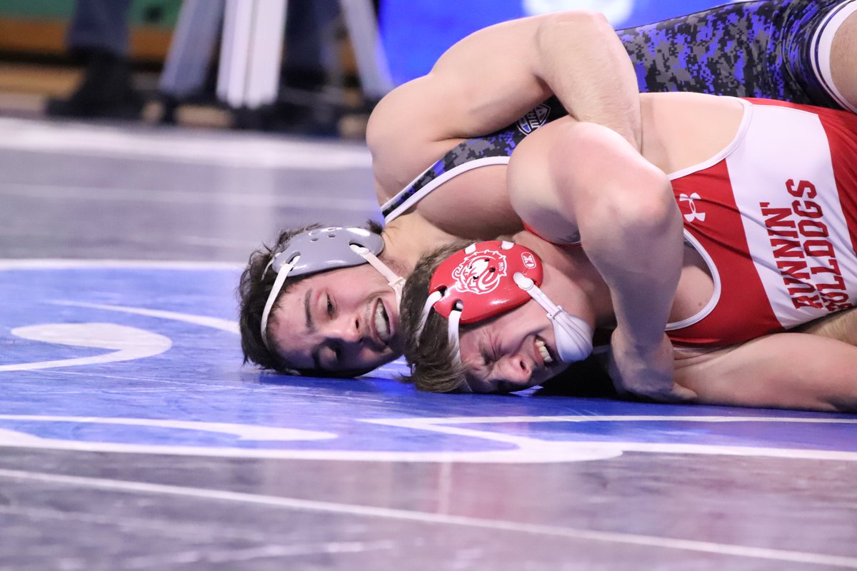 MACSports's tweet photo. 📸 Buffalo Bulls 🤘

It's finally match week! The Bulls are ready to host the 2026 MAC Wrestling Championships this weekend in Alumni Arena! 

🎟️: https://t.co/mVczq9Fyxu

#MACtion | #NCAAWrestling https://t.co/QVy8Kxoyz1
