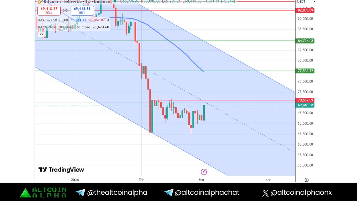 Altcoin Alpha tweet media