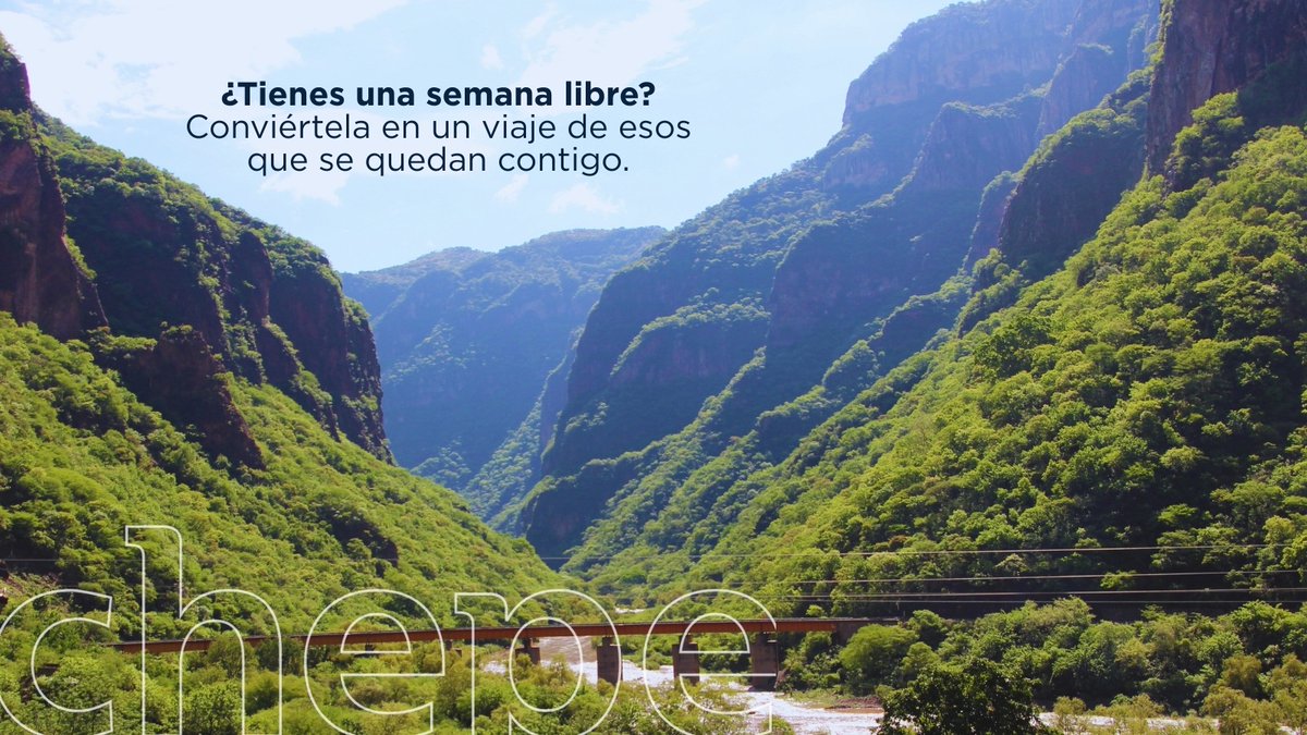 Chepe Express tweet media