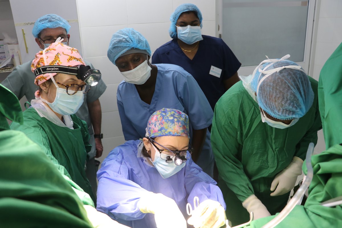 WADADIA Non Profits tweet media