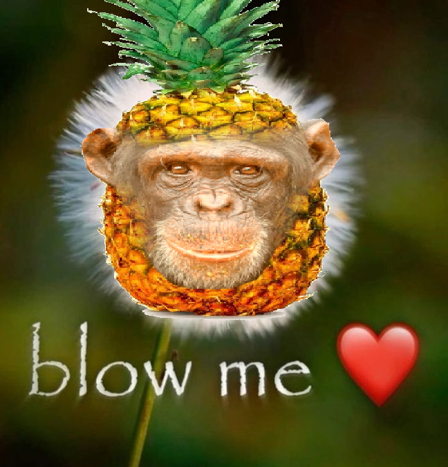 pineapple chimp tweet media