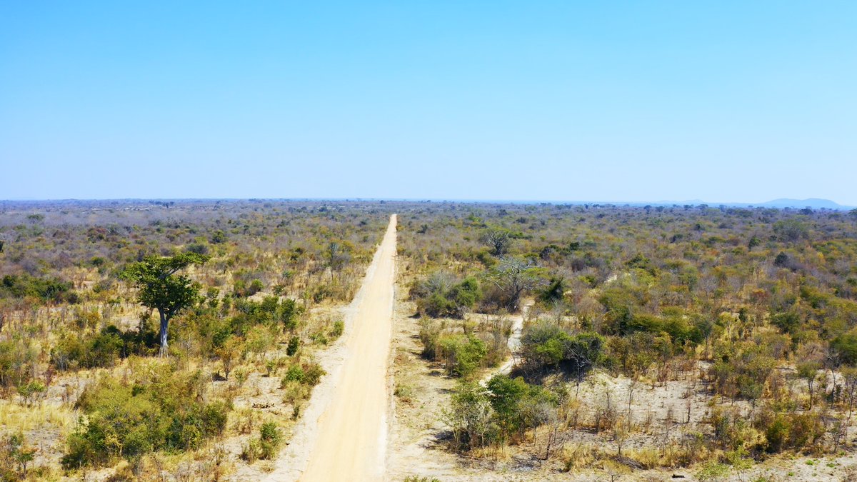 BuyingPropertyZambia tweet media