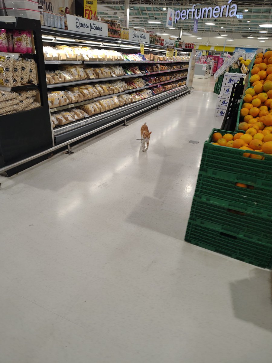 Hola <a href="/carrefourarg/">Carrefour Argentina</a> 

Bromatología salió del grupo