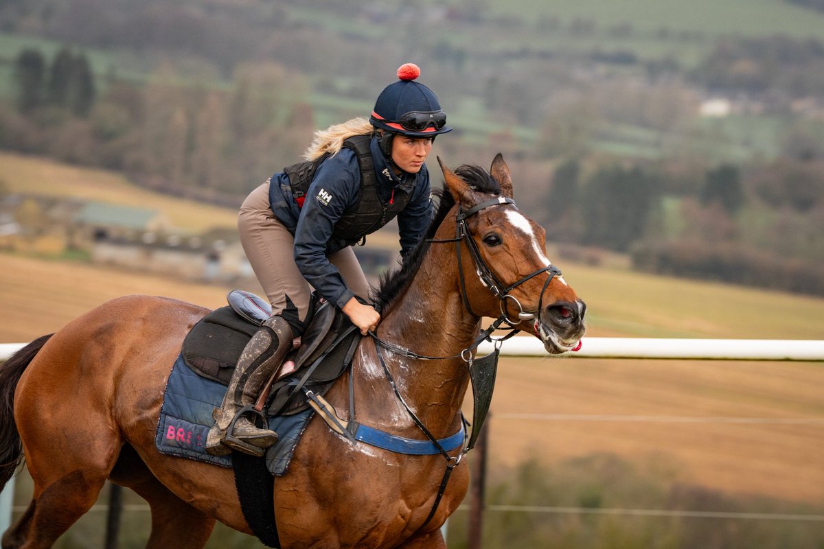 FOBRacing's tweet photo. We run Lilting Verse (pictured) and Edith Pelham @Southwell_Races today
@fernobrien_ and @JohnnyBurke2 ride respectively #TeamFOB https://t.co/pAVDq6jr8n