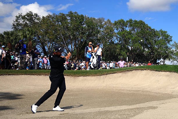 LOWRYTRACKER tweet media