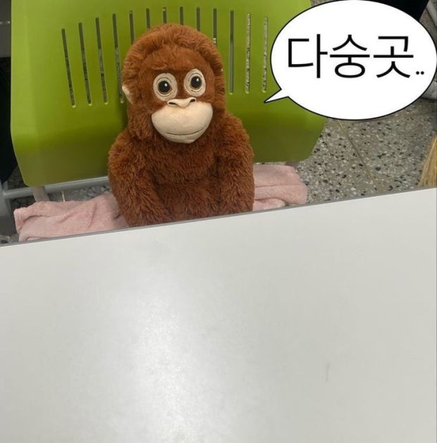 아차차 tweet media