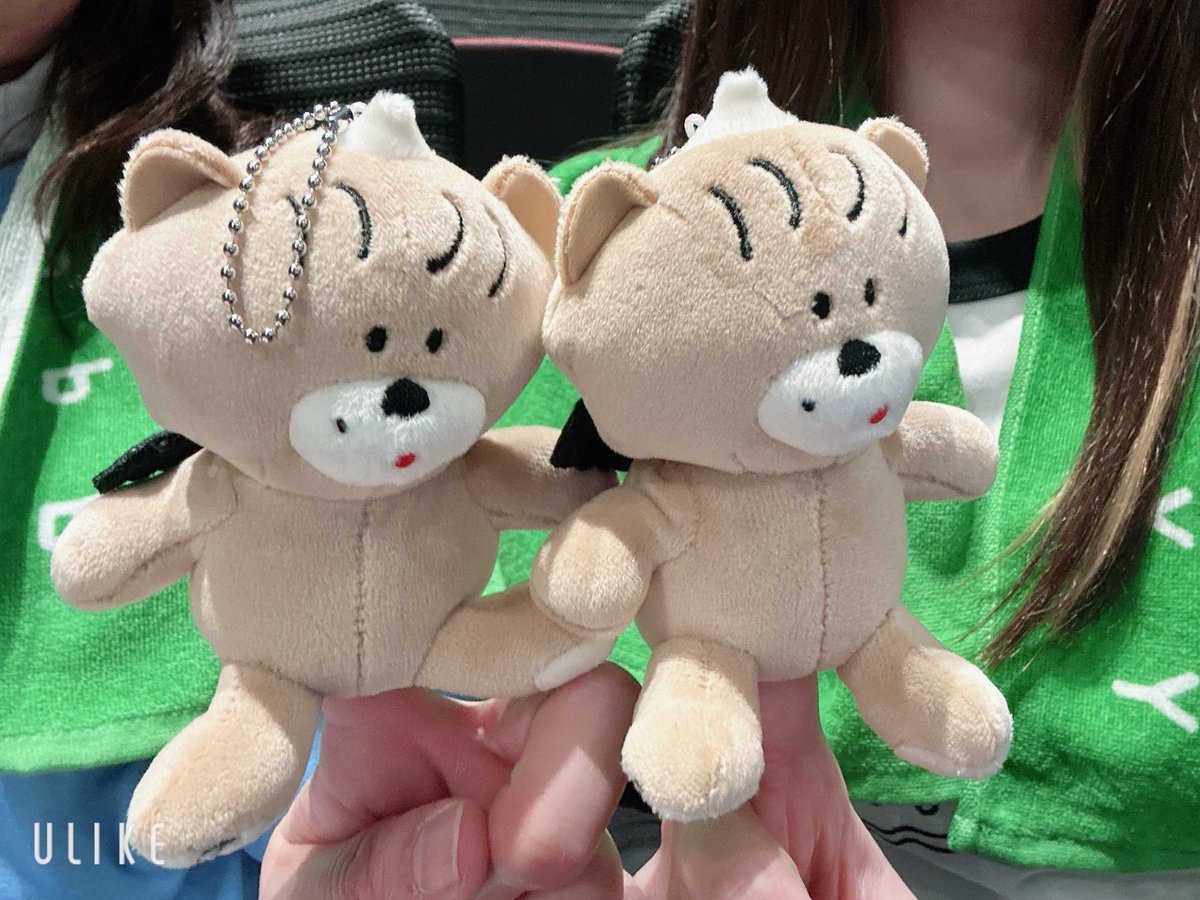 最高すぎた！！！
この言葉に尽きる🫶🏻

<a href="/aimyonGtter/">あいみょん 🦭</a> 

#PPY2 #あいみょん