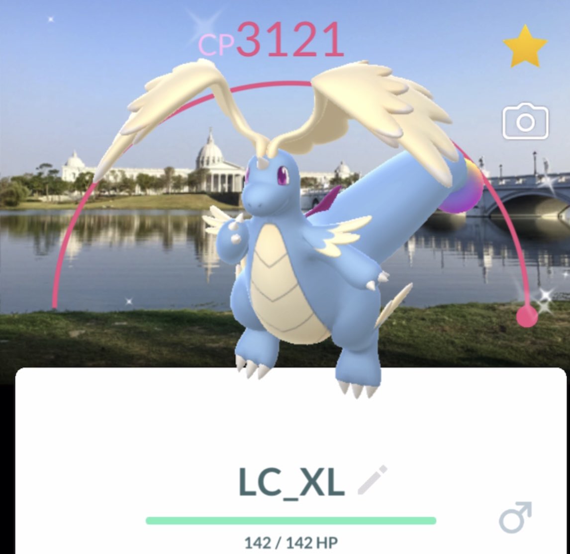 振り返り✍️皆んな大好きカイリュー編 メガカイリュー45戦、色違い2