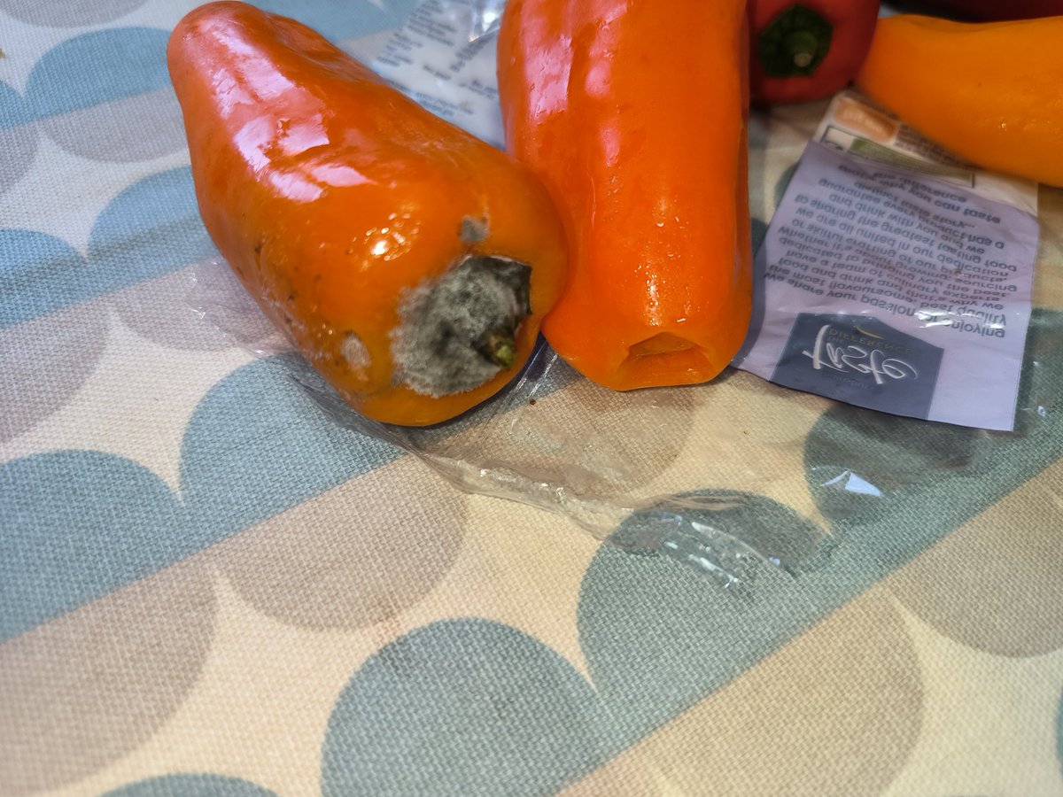 VerityRacose's tweet photo. Hey @sainsburys 
I got these peppers in my delivery on Saturday at 8pm. Just opened them to have at lunchtime now and two of them are all mouldy. https://t.co/RwMoF8VXbo