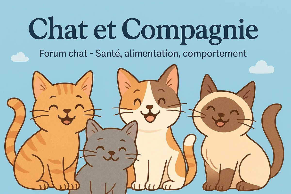 Chat et Compagnie tweet media