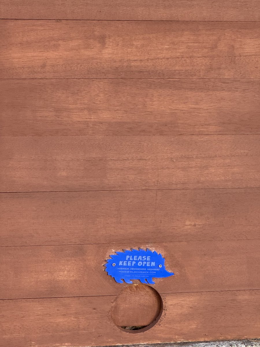 @wildchiswick tweet media