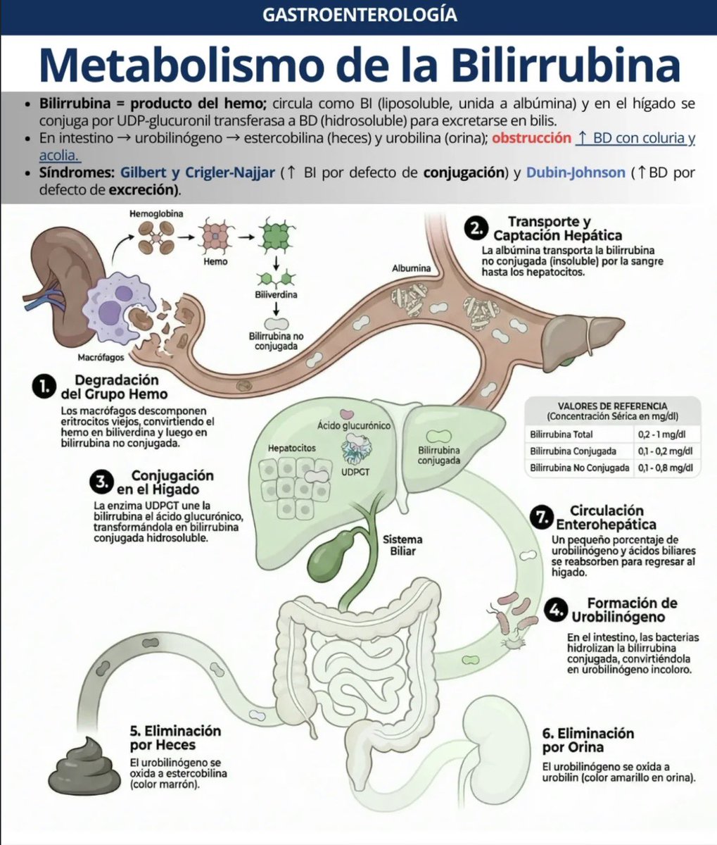 Dr. Mateo Avila tweet media