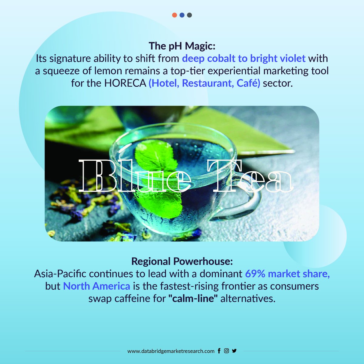DBMROfficial's tweet image. The Global #BlueTea Market is brewing a colorful shift in #FunctionalBeverages 

Rich in antioxidants and naturally caffeine-free, butterfly pea flower tea is gaining traction.

Visit to know more, databridgemarketresearch.com/reports/global…

#HerbalTea #WellnessTrend #PlantBased #BeverageInnovation
